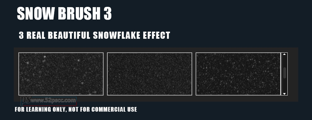 Procreate 雪花笔刷 PS自然下雪素材 Photoshop下雪效果笔刷