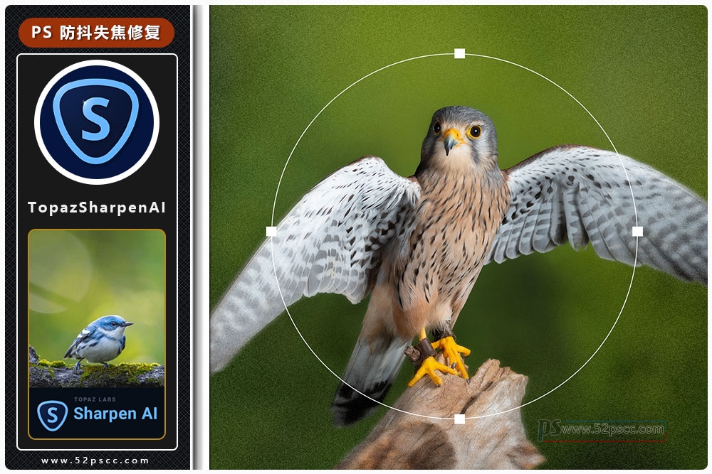 Photoshop插件扩展Topaz Sharpen AI 最新汉化版人工智能清晰锐化 智能防抖 虚焦矫正插件缩略图